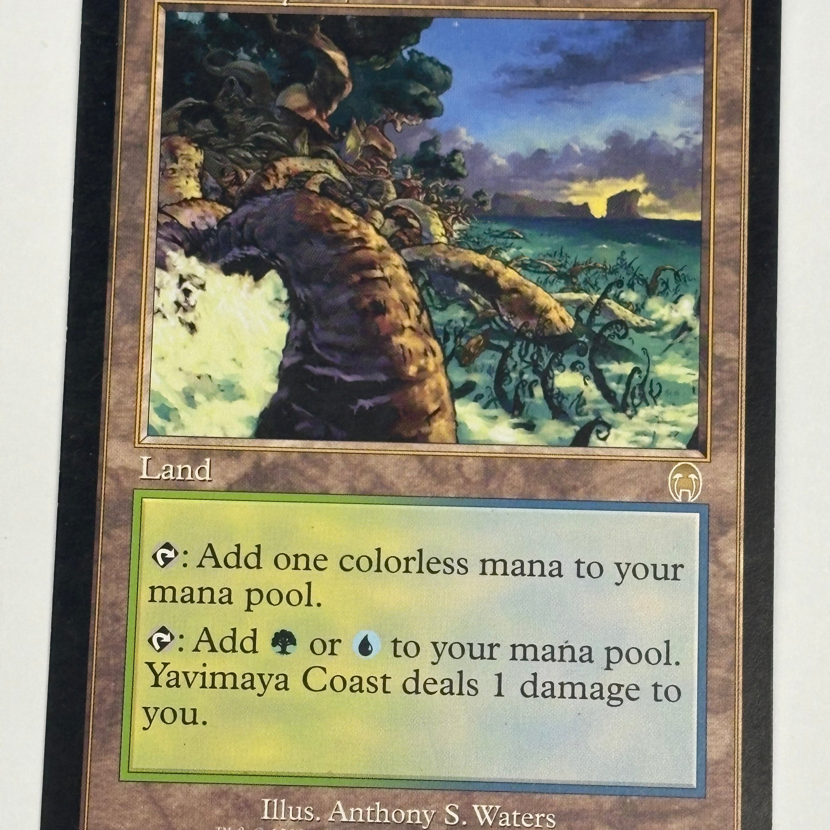 Magic the Gathering TCG - Apocalypse Yavimaya Coast 143/143 NM