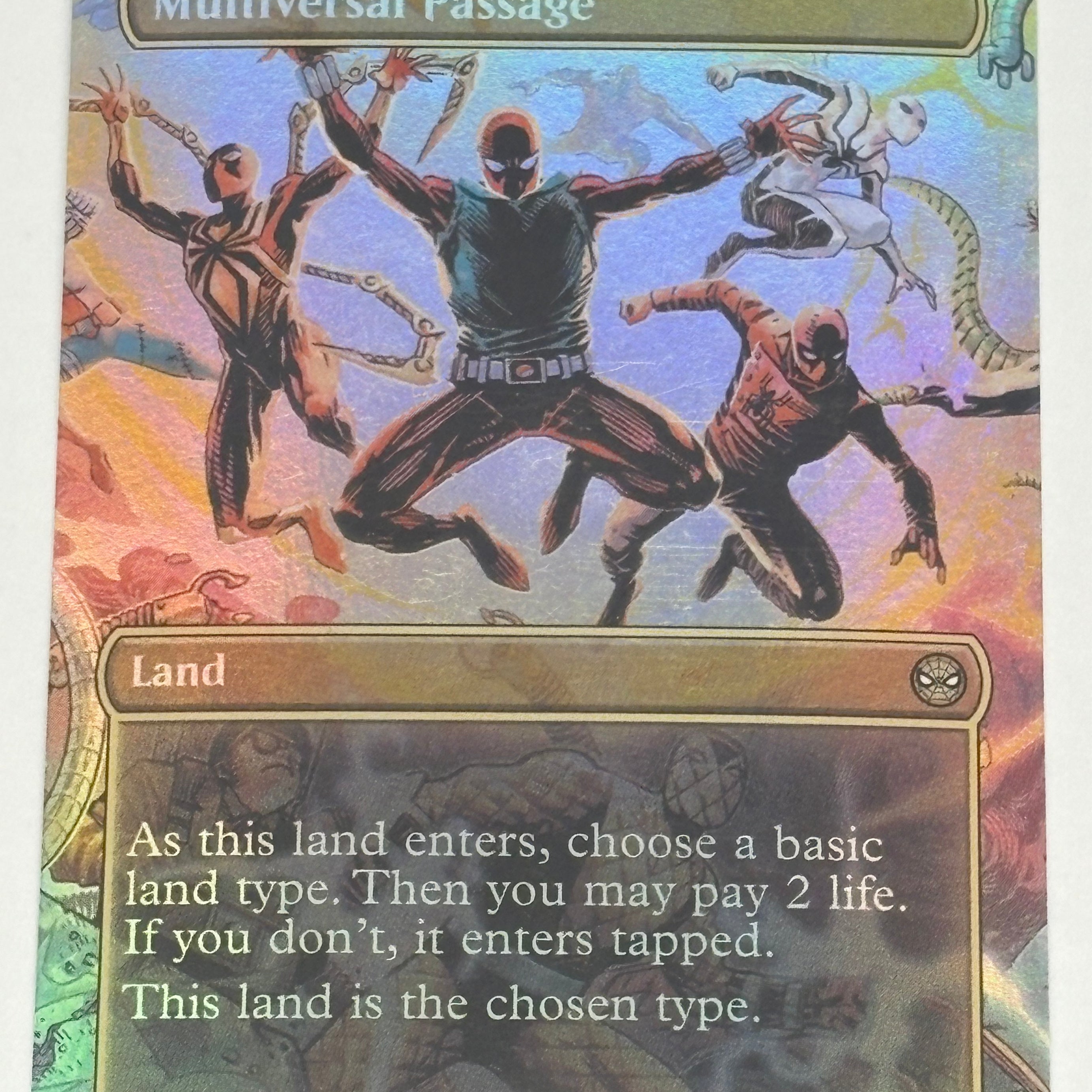 Magic The Gathering TCG - Marvel’s Spider-Man Multiversal Passage (Borderless Foil) 206 NM