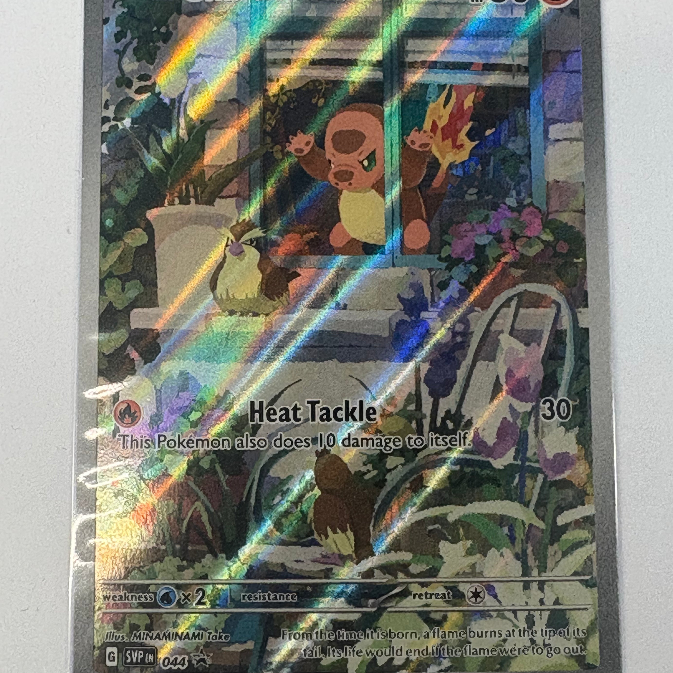 Pokémon TCG - Scarlet & Violet Promo Cards Charmander 044 (Sealed) NM