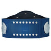 WWE SmackDown Tag Team Championship Replica Belt Blue