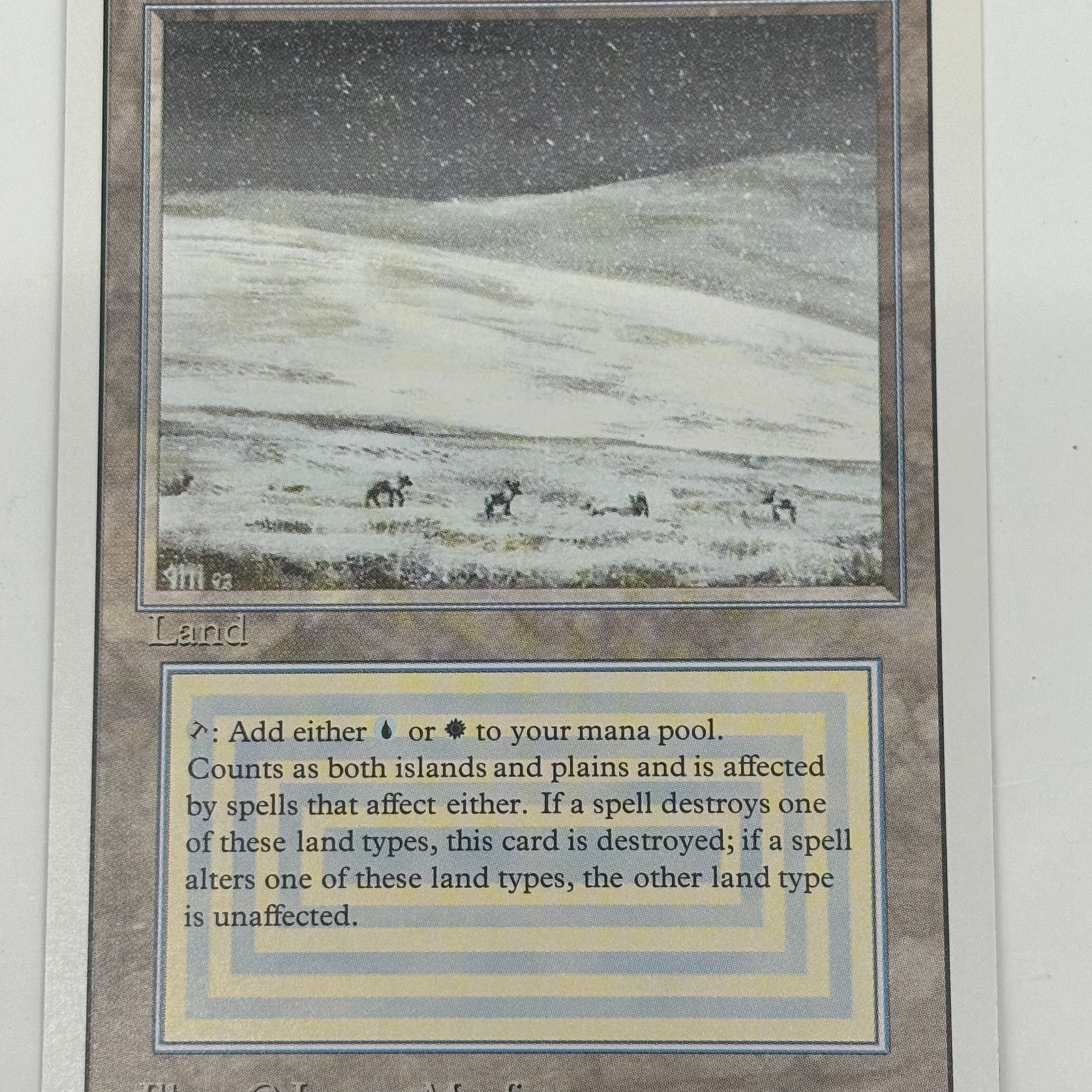 Magic the Gathering TCG - Tundra Revised Edition LP