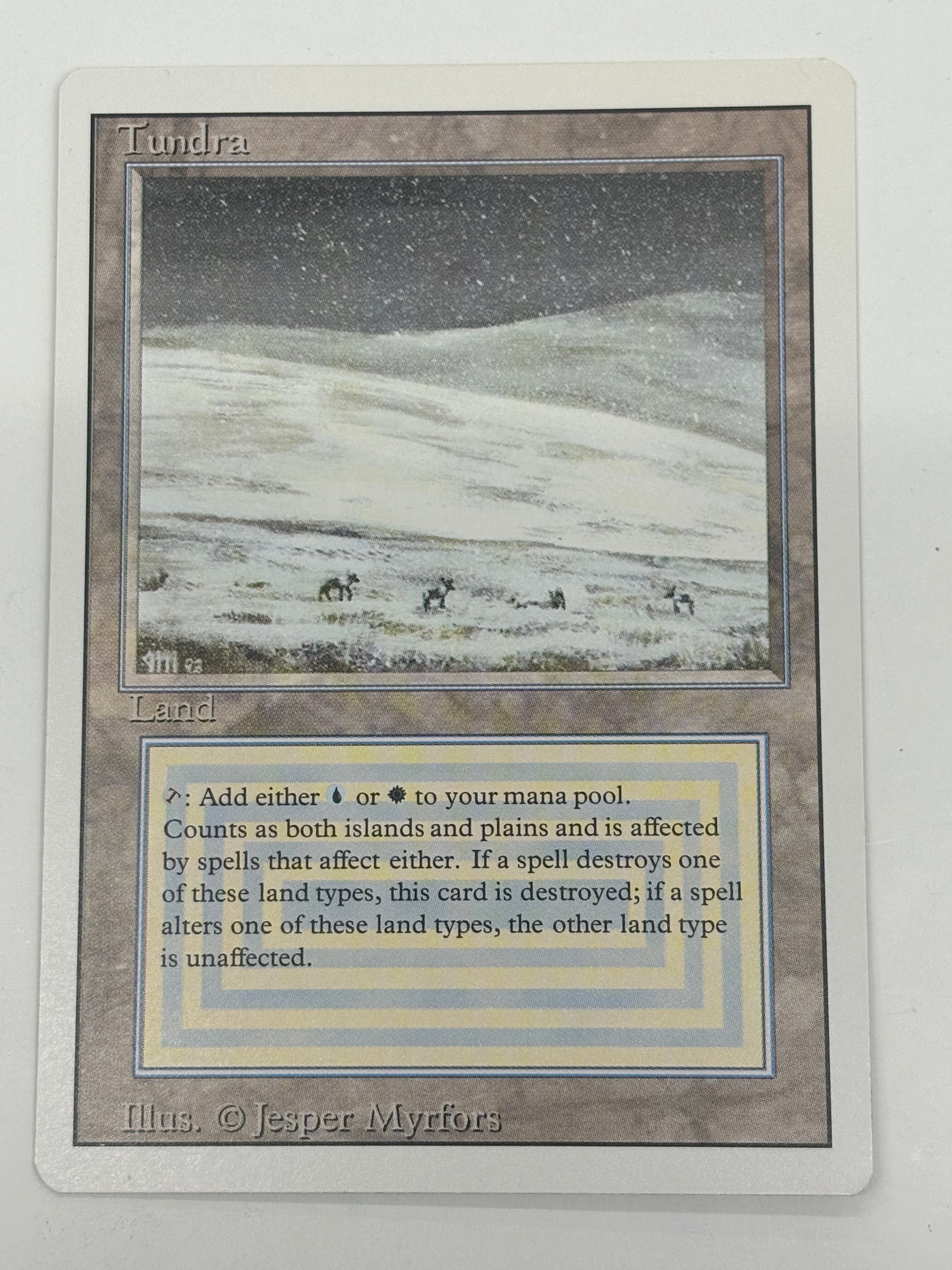 Magic the Gathering TCG - Tundra Revised Edition LP