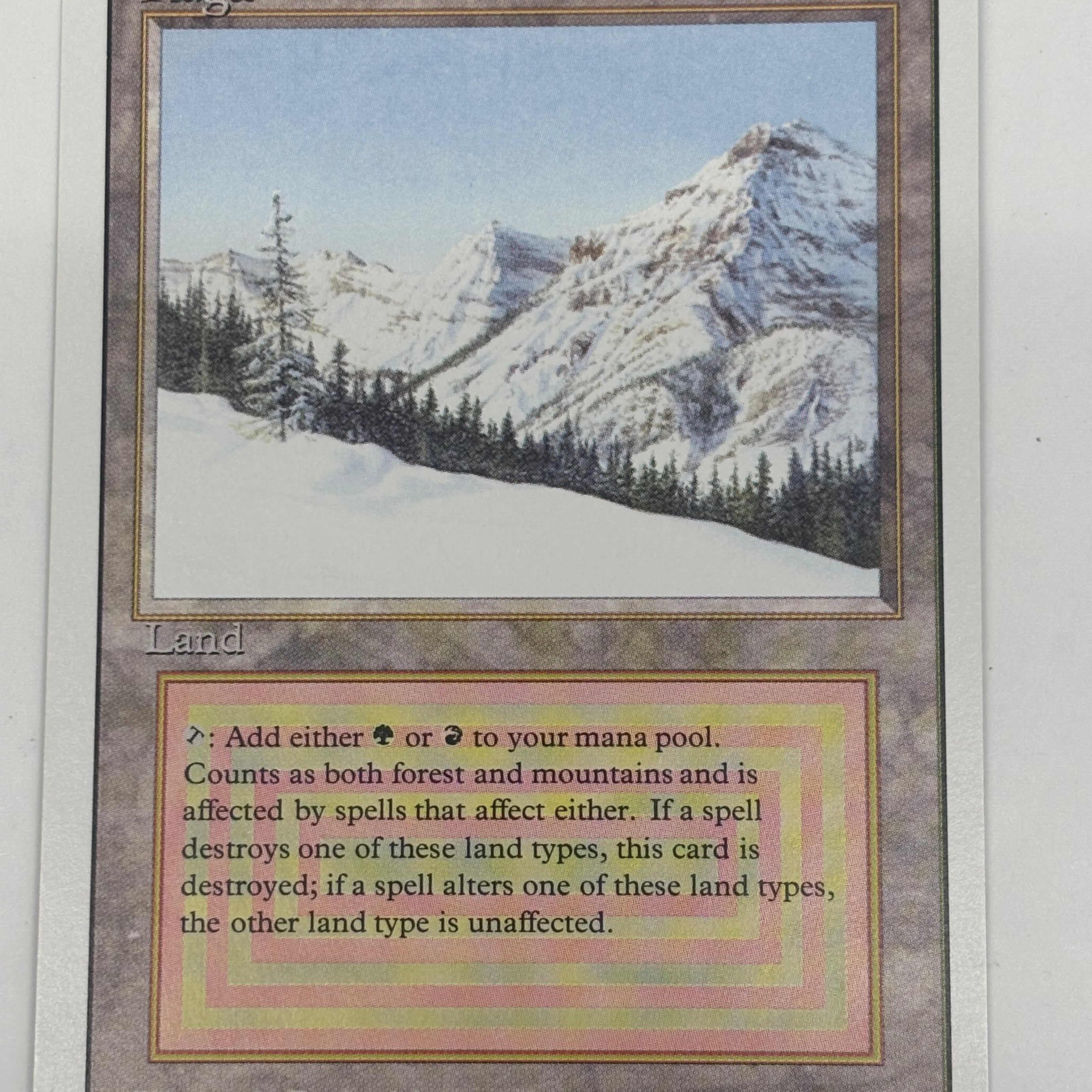 Magic the Gathering TCG - Taiga Revised Edition LP