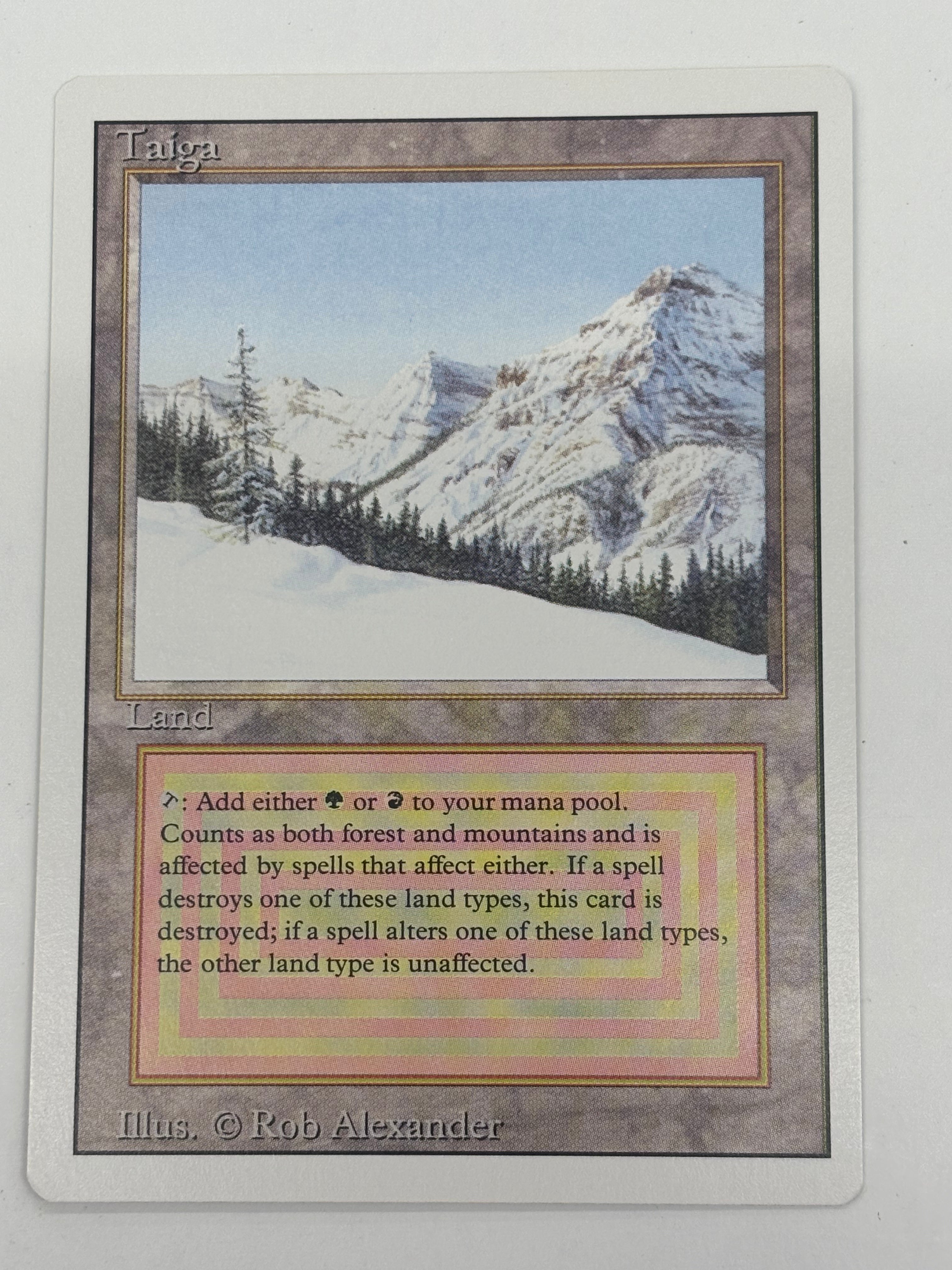 Magic the Gathering TCG - Taiga Revised Edition LP