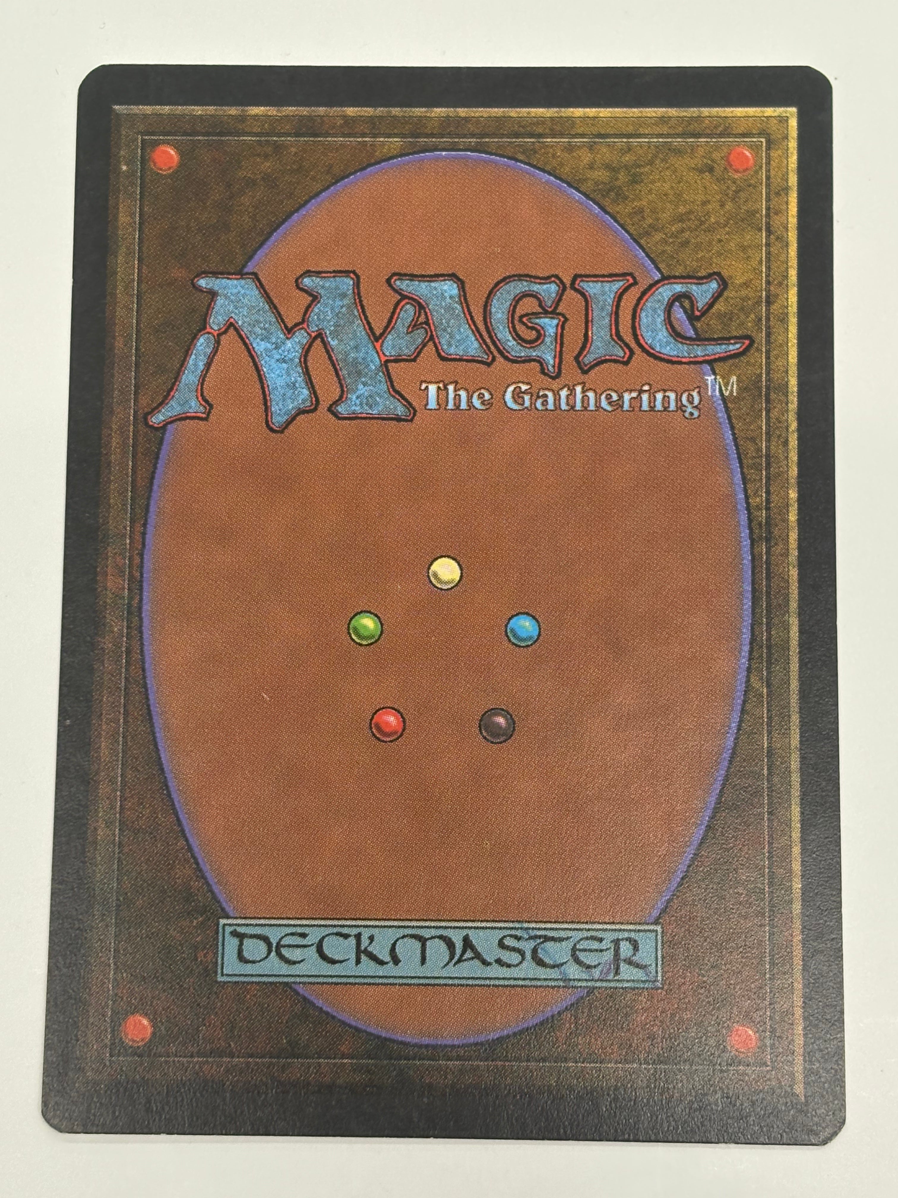Magic the Gathering TCG - Taiga Revised Edition LP