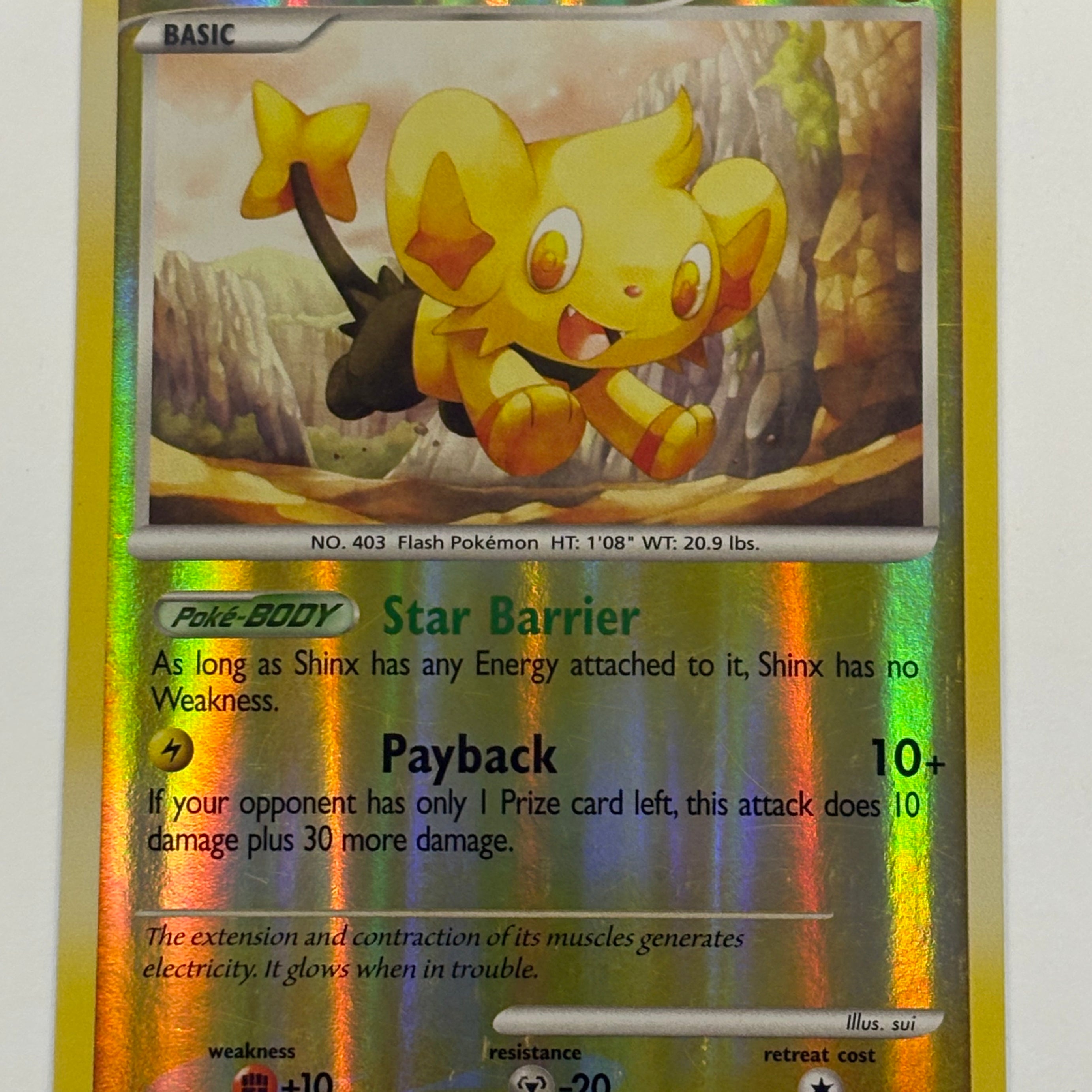 Pokémon TCG - Arceus Shinx (Shiny) SH12 LP