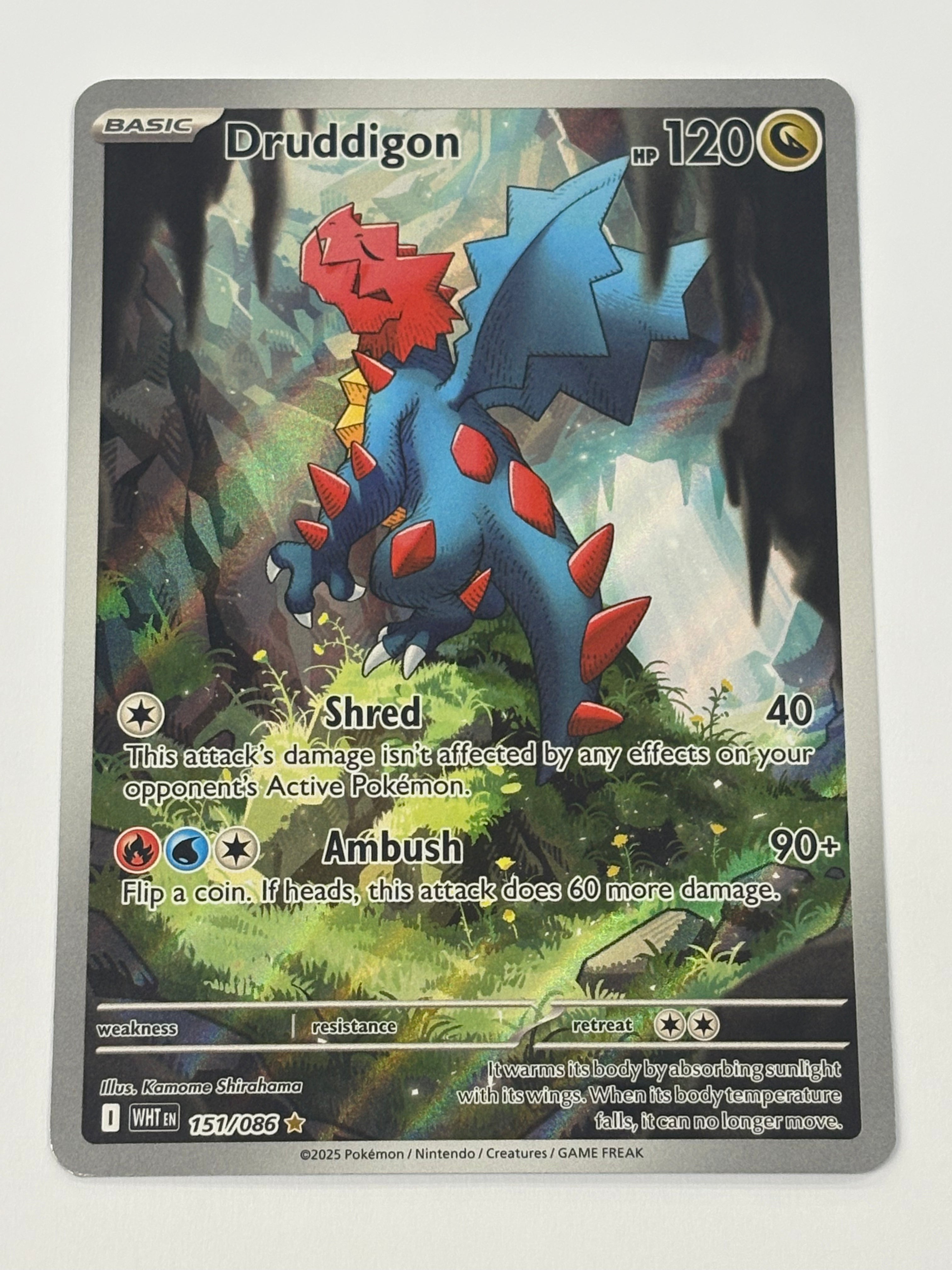 Pokémon TCG - White Flare Druddigon 151/086 NM