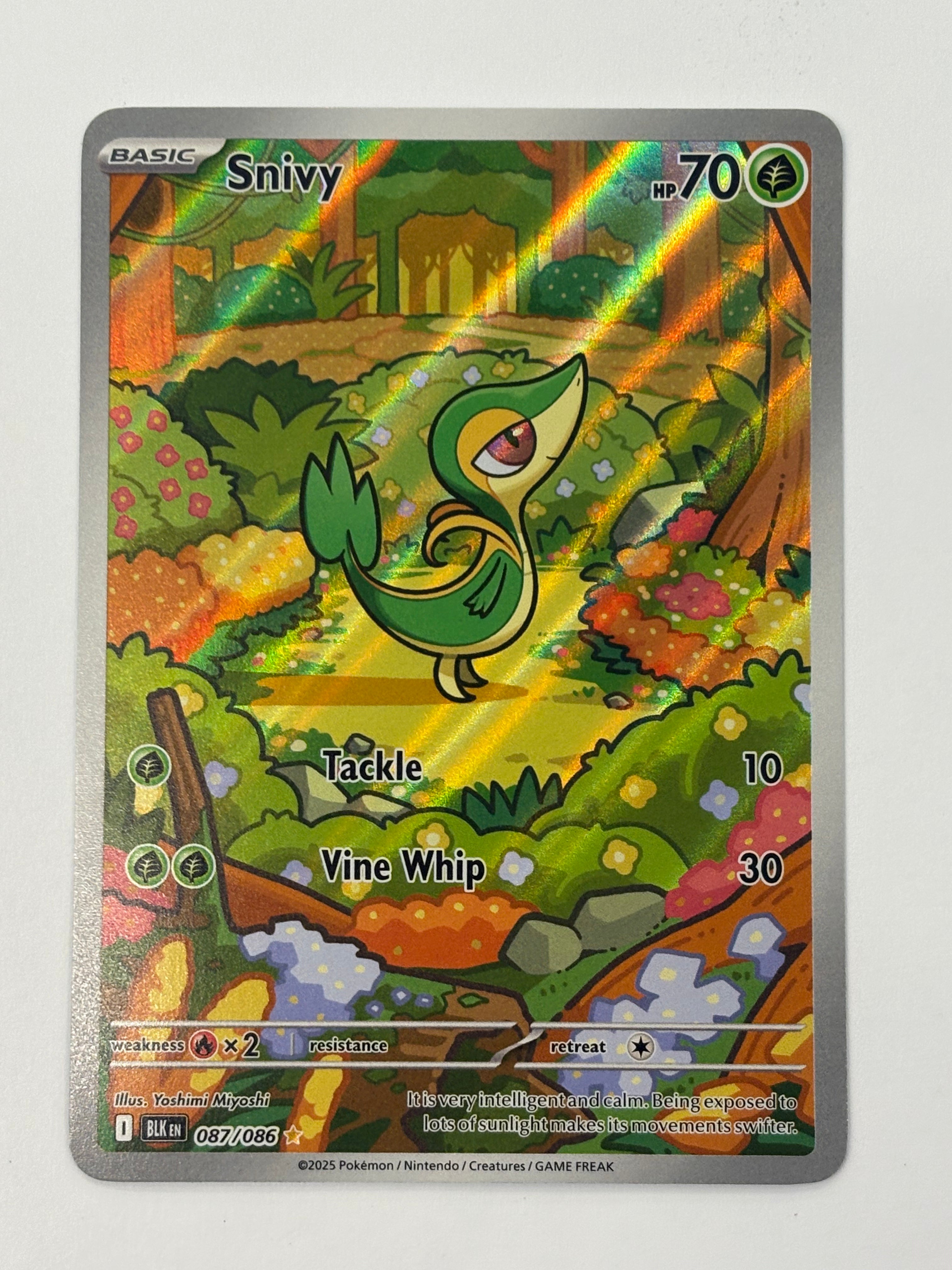 Pokémon TCG - Black Bolt Snivy 087/086 NM