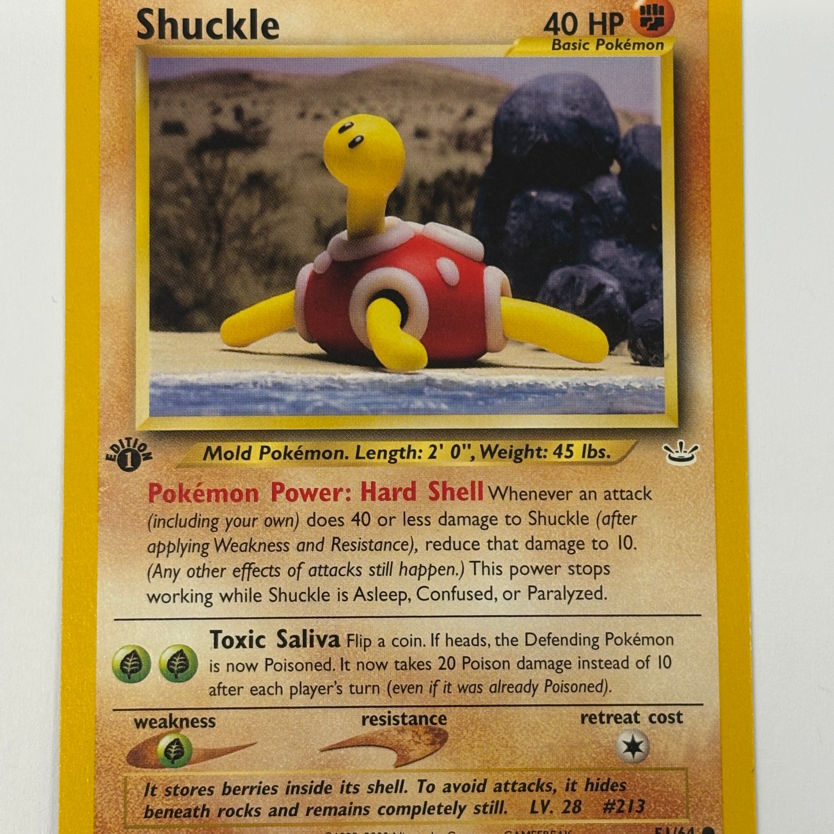 Pokémon TCG - Neo Revelation 1st Edition Shuckle 51/64 NM