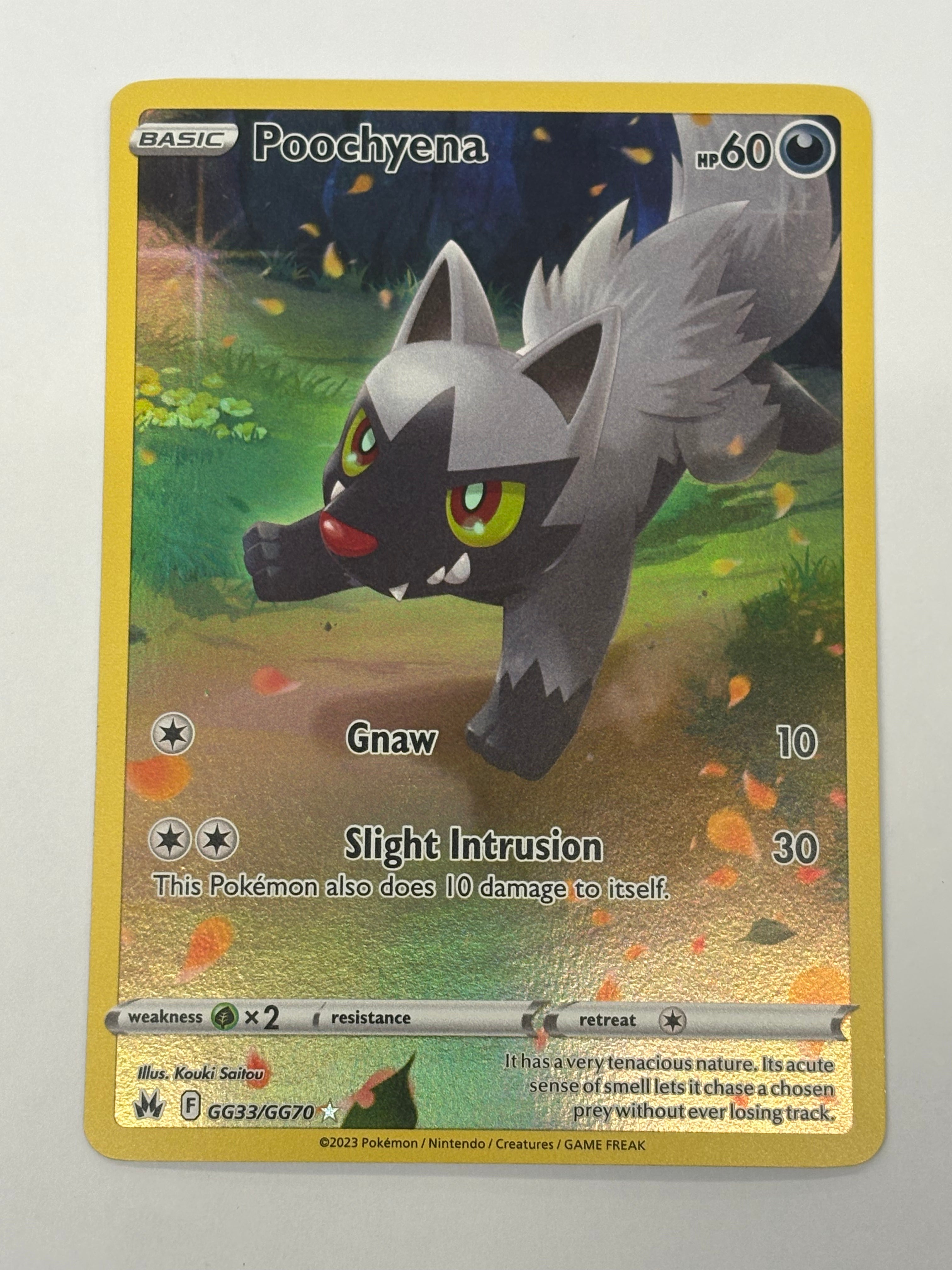 Pokémon TCG - Crown Zenith Poochyena GG34/GG70 NM