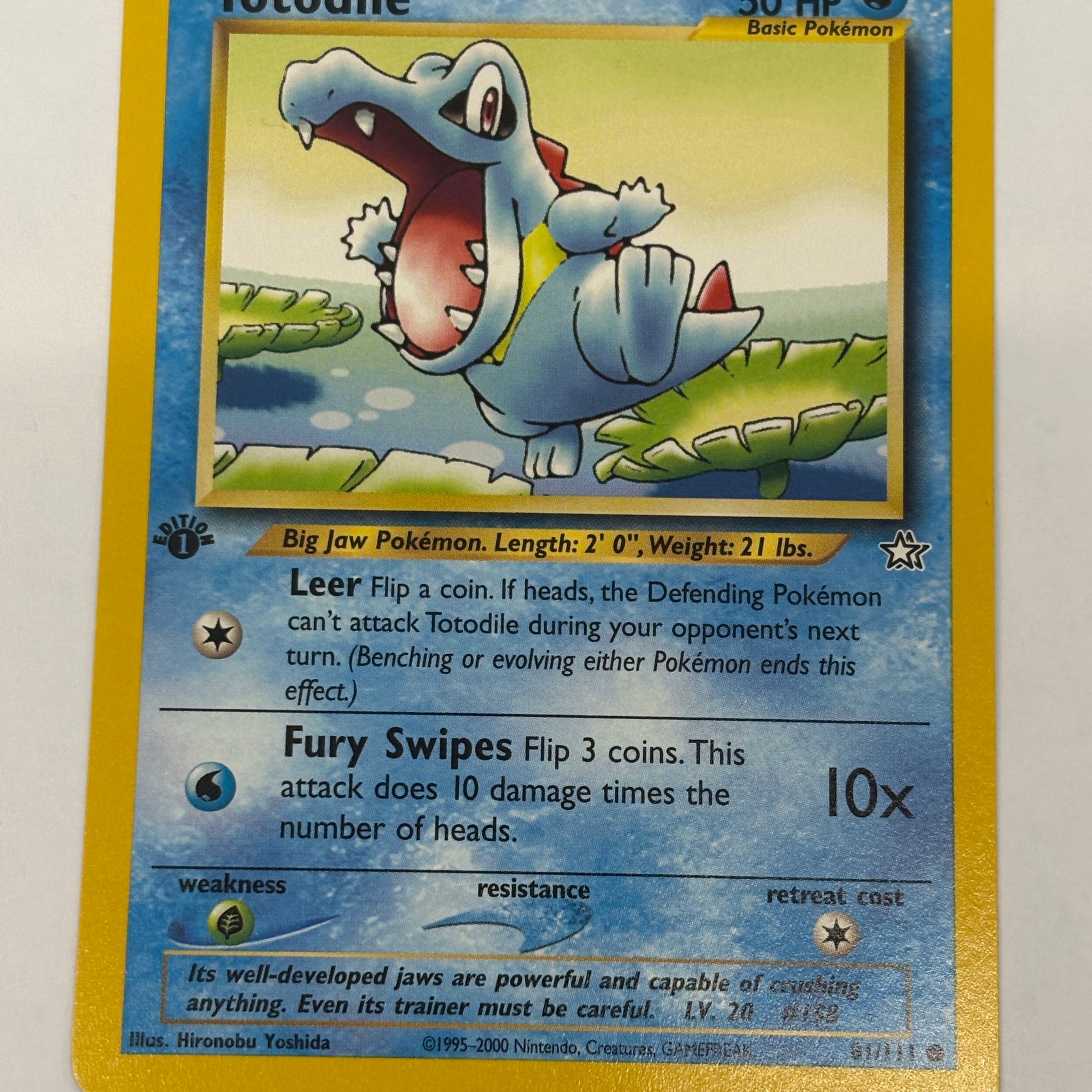 Pokémon TCG - Neo Genesis 1st Edition Totodile 81/111 NM