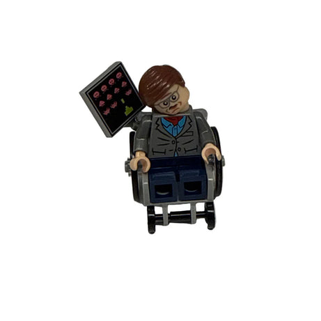 Stephen Hawking #1 Mini Block Figure