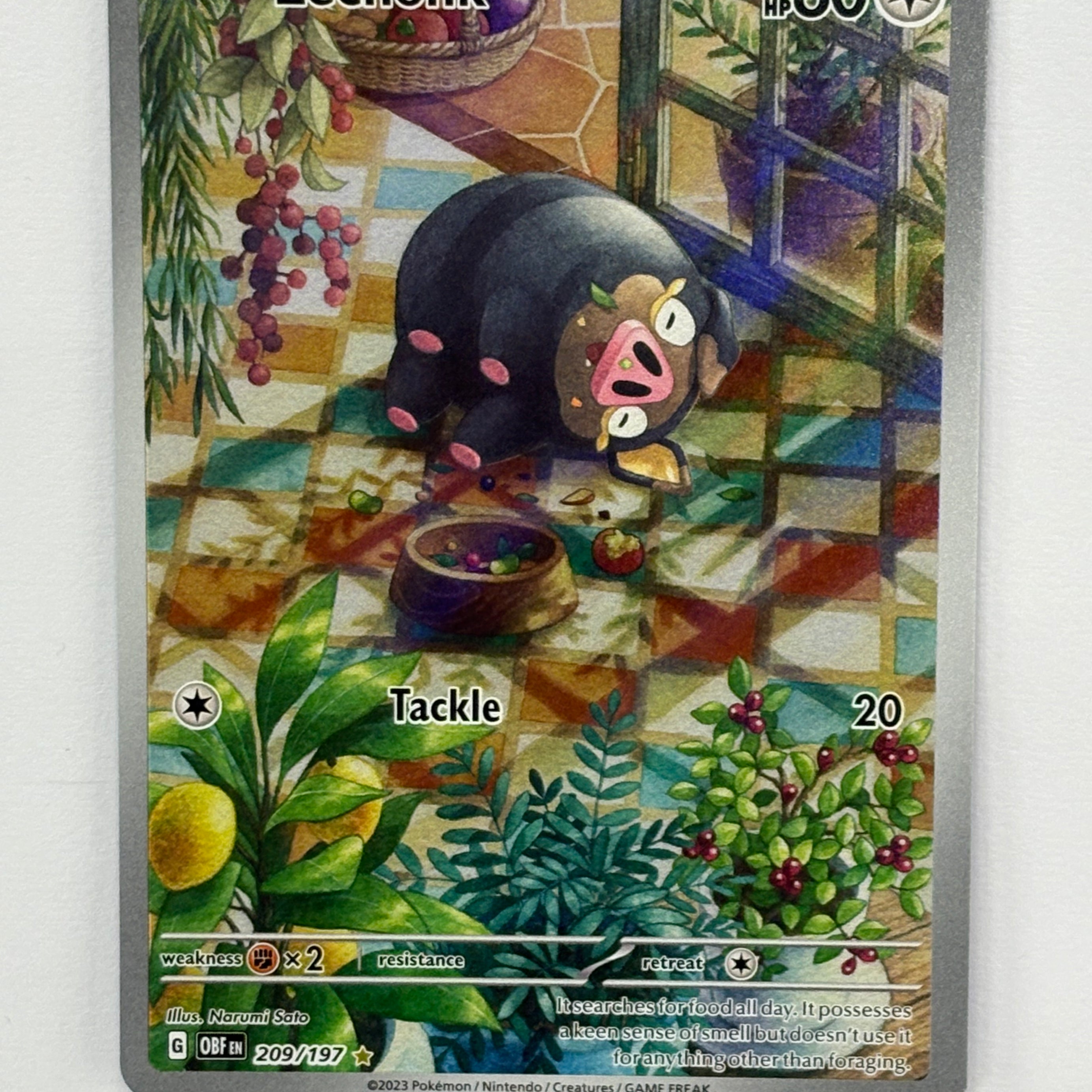 Pokémon TCG - Obsidian Flames Lechonk 209/197 NM