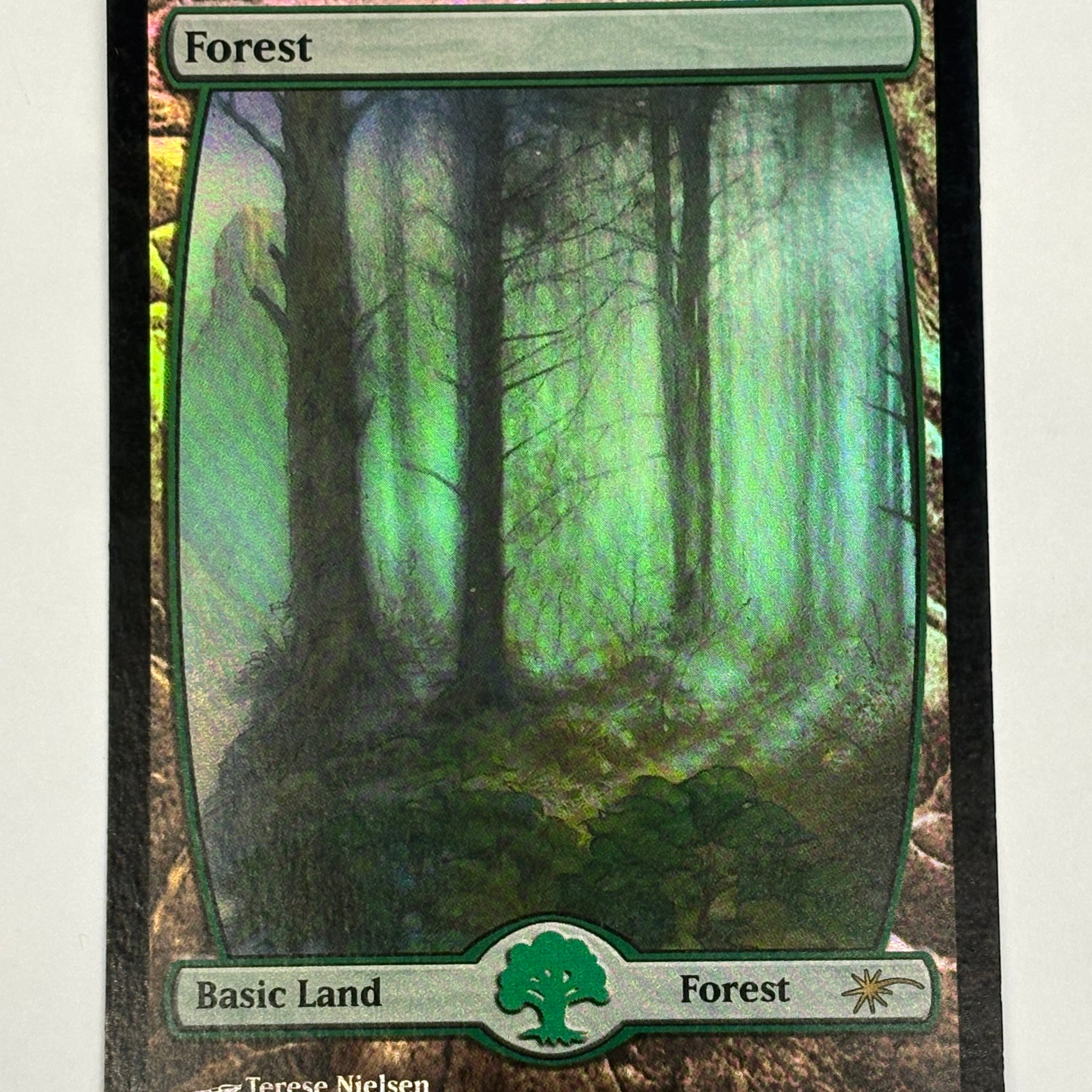 Magic The Gathering TCG - Judge Promos Forest (Foil) 5/5 NM