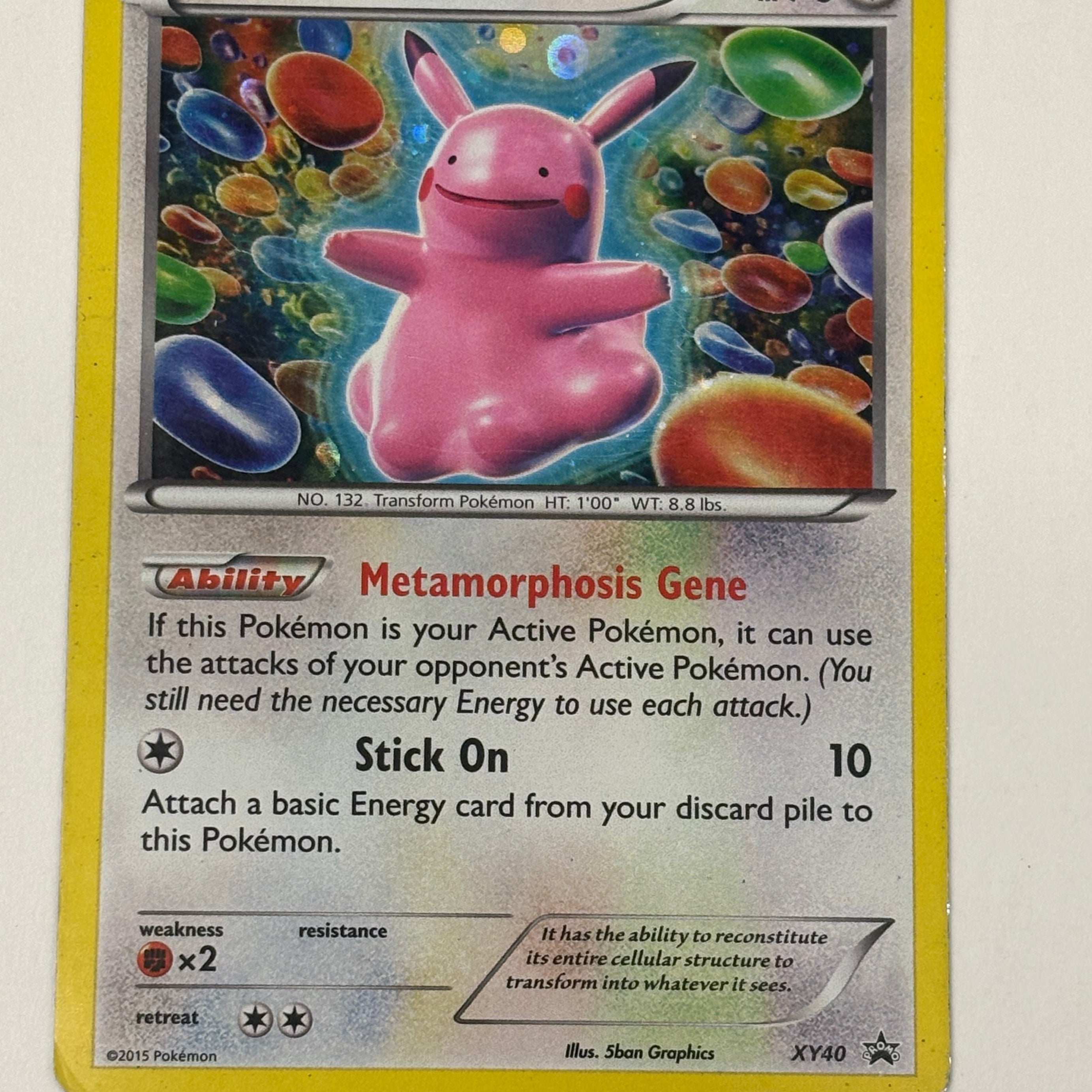 Pokémon TCG - XY Promo Ditto XY40 Holo DMG