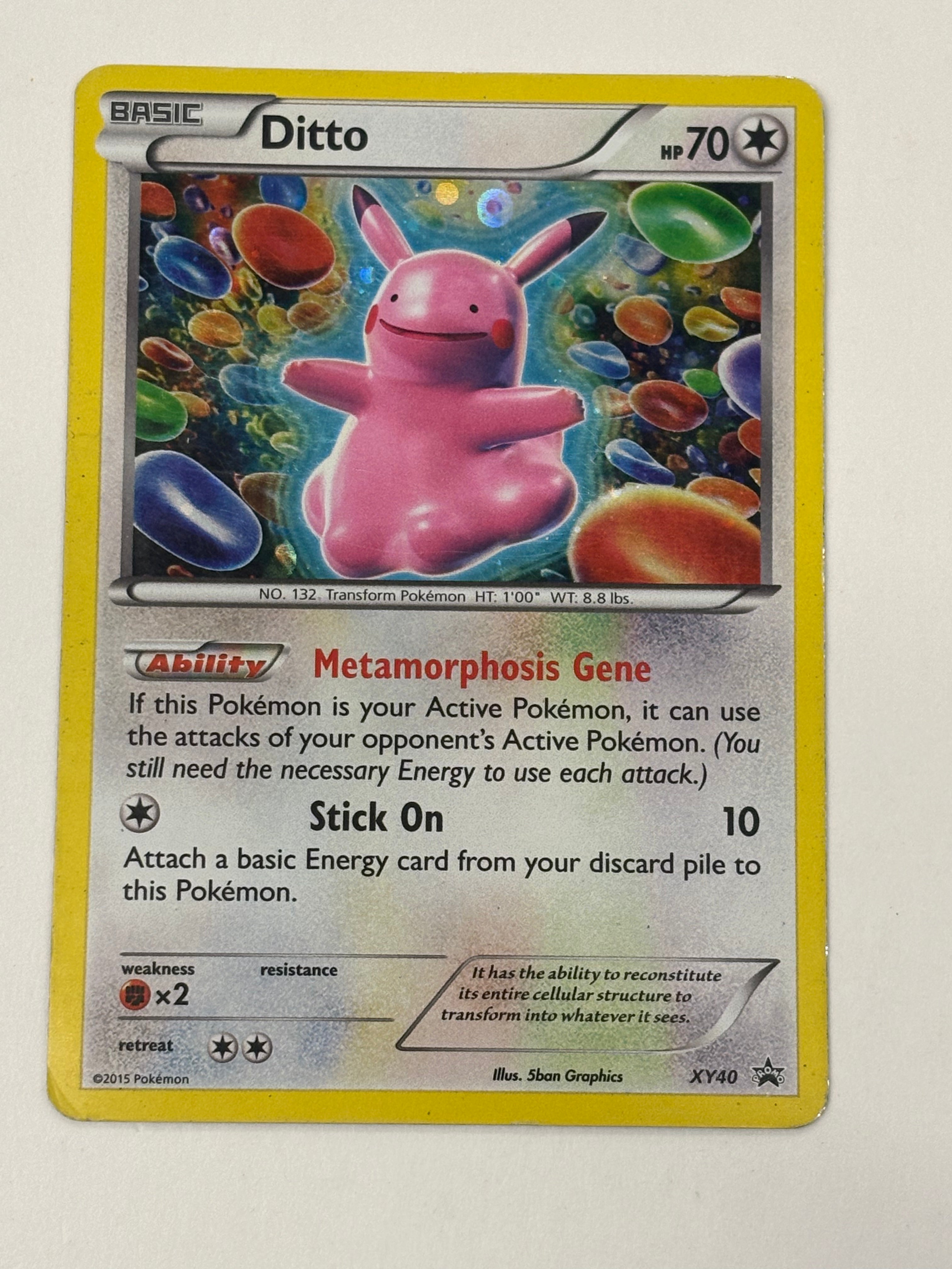 Pokémon TCG - XY Promo Ditto XY40 Holo DMG
