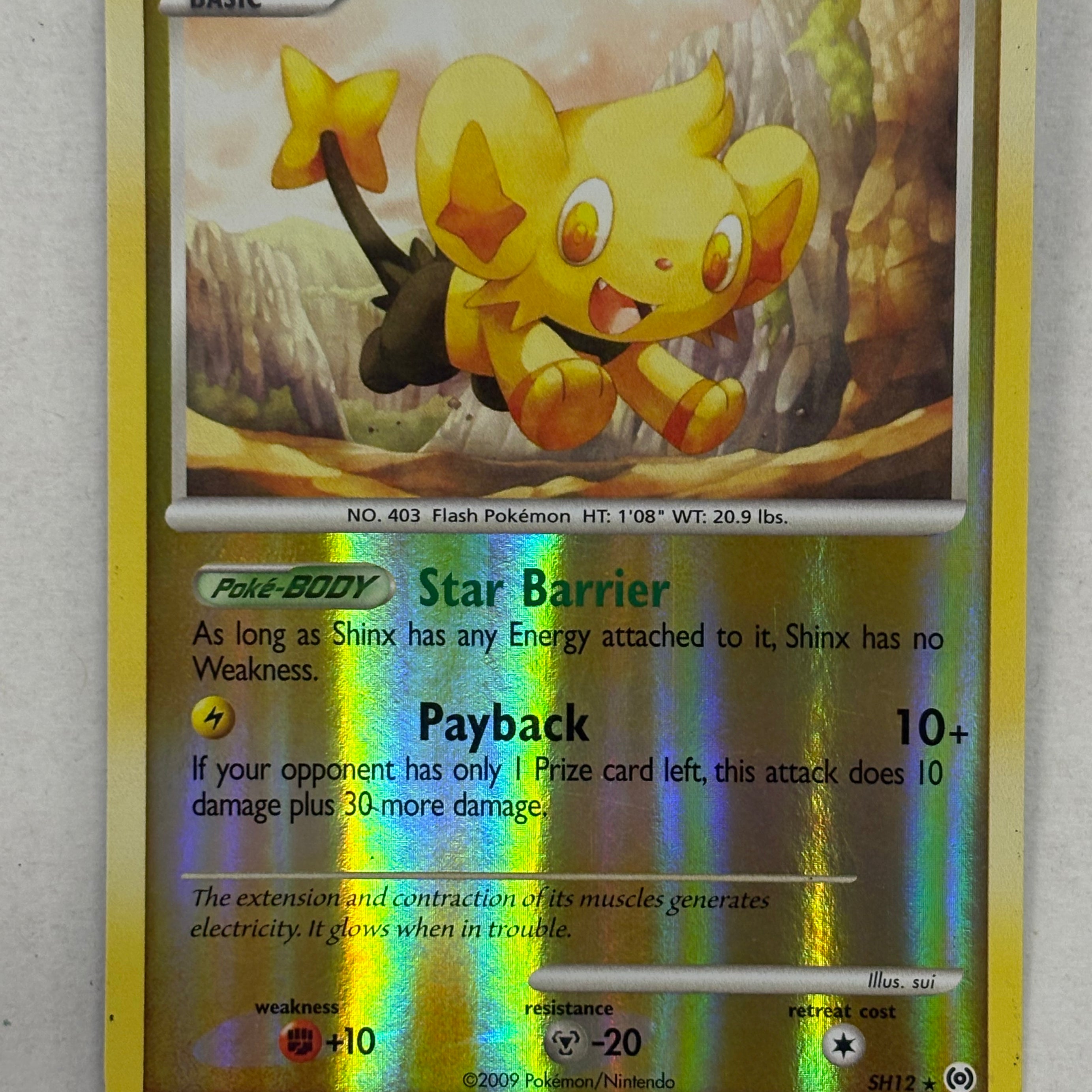 Pokémon TCG - Arceus Shinx (Shiny) SH12 NM