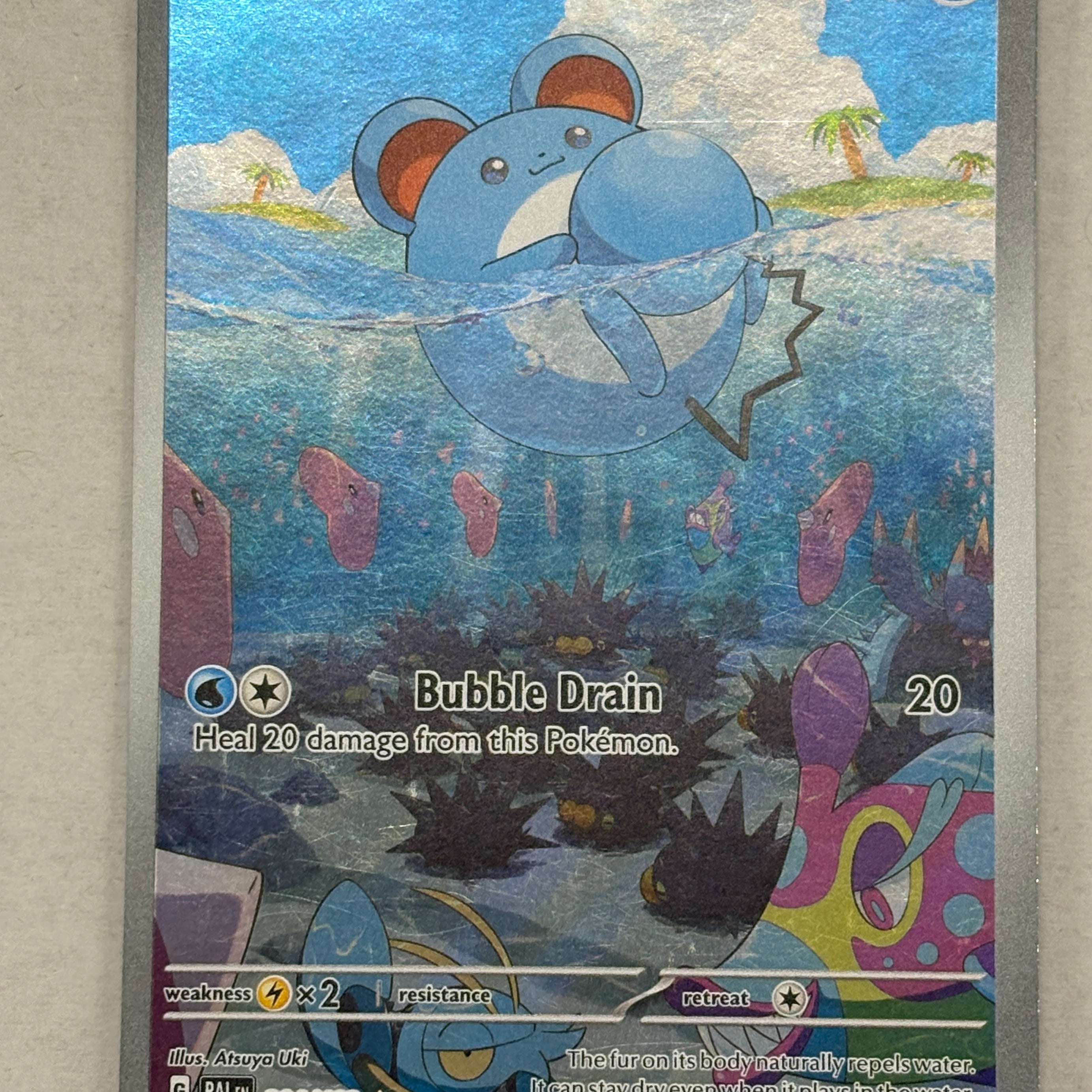 Pokémon TCG - Paldea Evolved Marill 204/193 NM