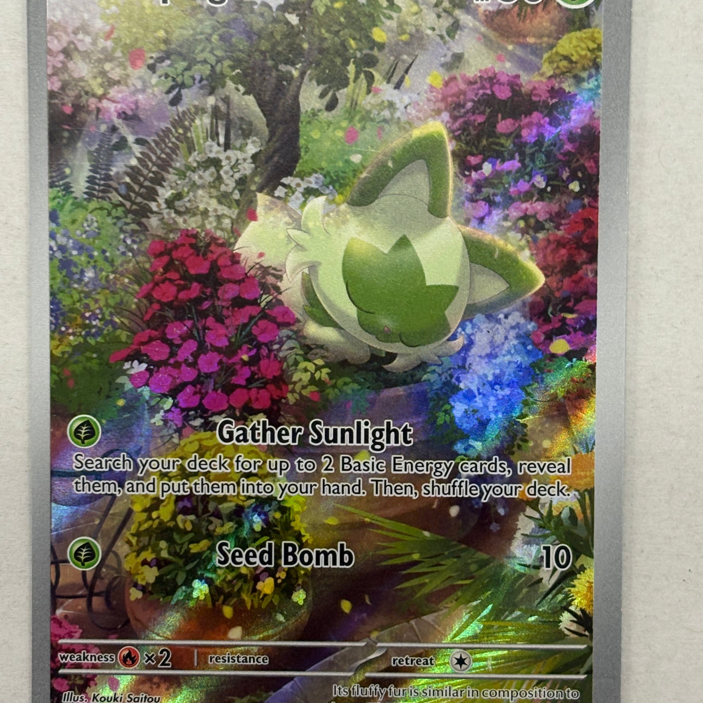 Pokémon TCG - Paldea Evolved Sprigatito 196/193 NM