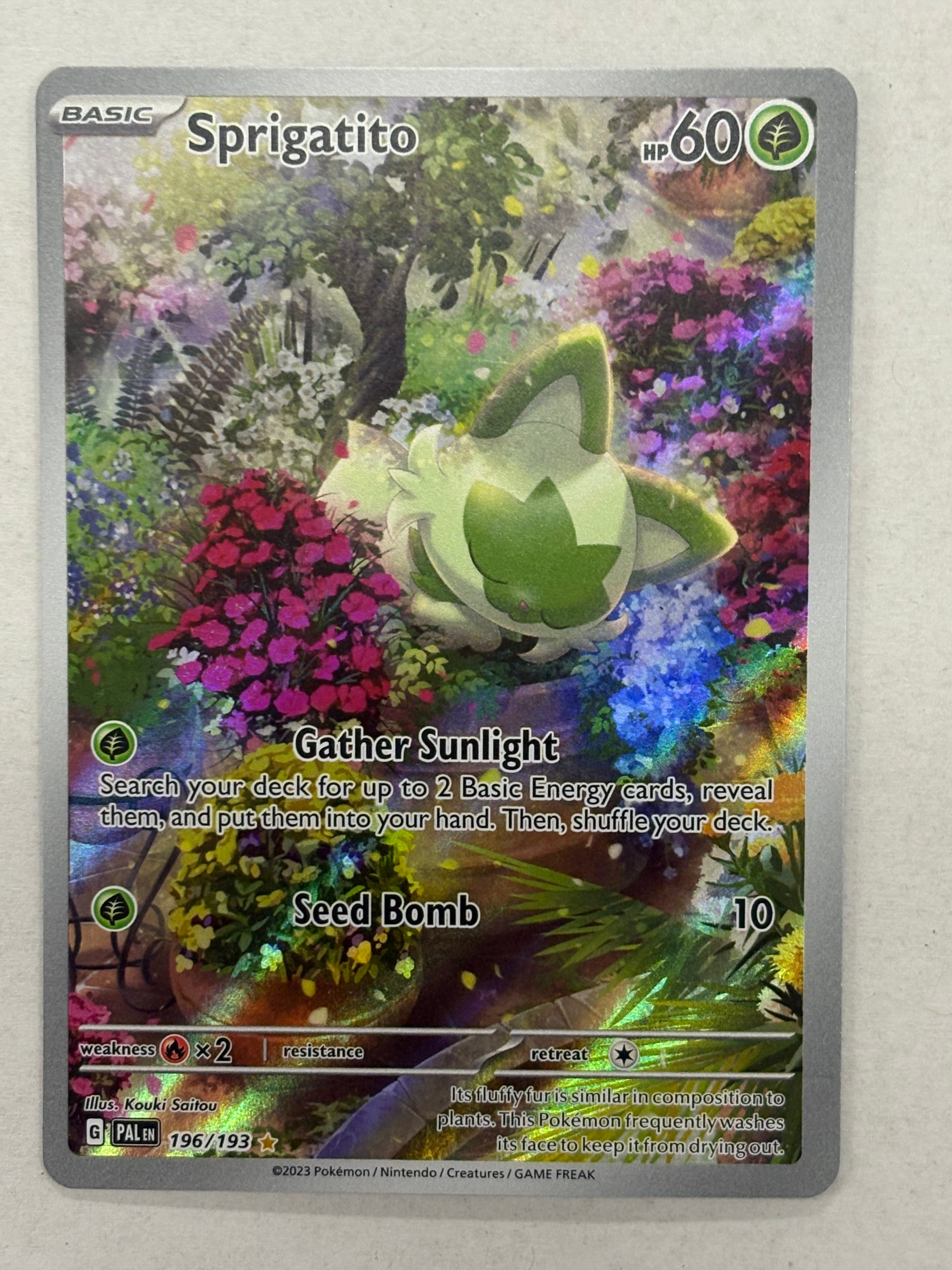 Pokémon TCG - Paldea Evolved Sprigatito 196/193 NM