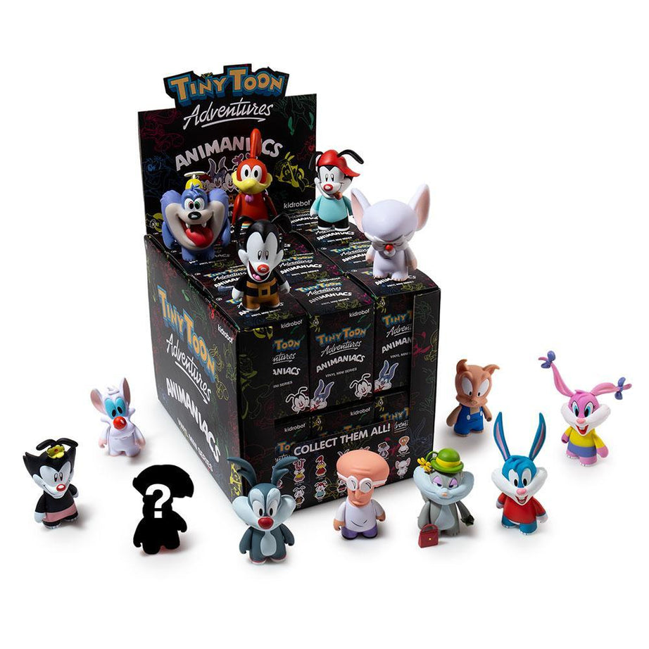 Kidrobot Tiny Toon Adventures Animaniacs Vinyl Mini Figures Blind Box