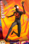 Hot Toys Spider-Man: Across The Spider-Verse  Spider-Man (Miles Morales) MMS710 1/6th Scale Collectible Figure