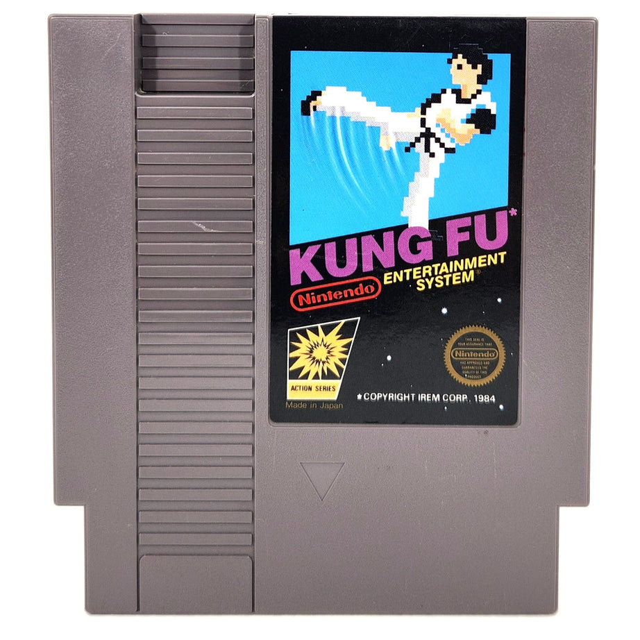 NES Kung Fu Video Game